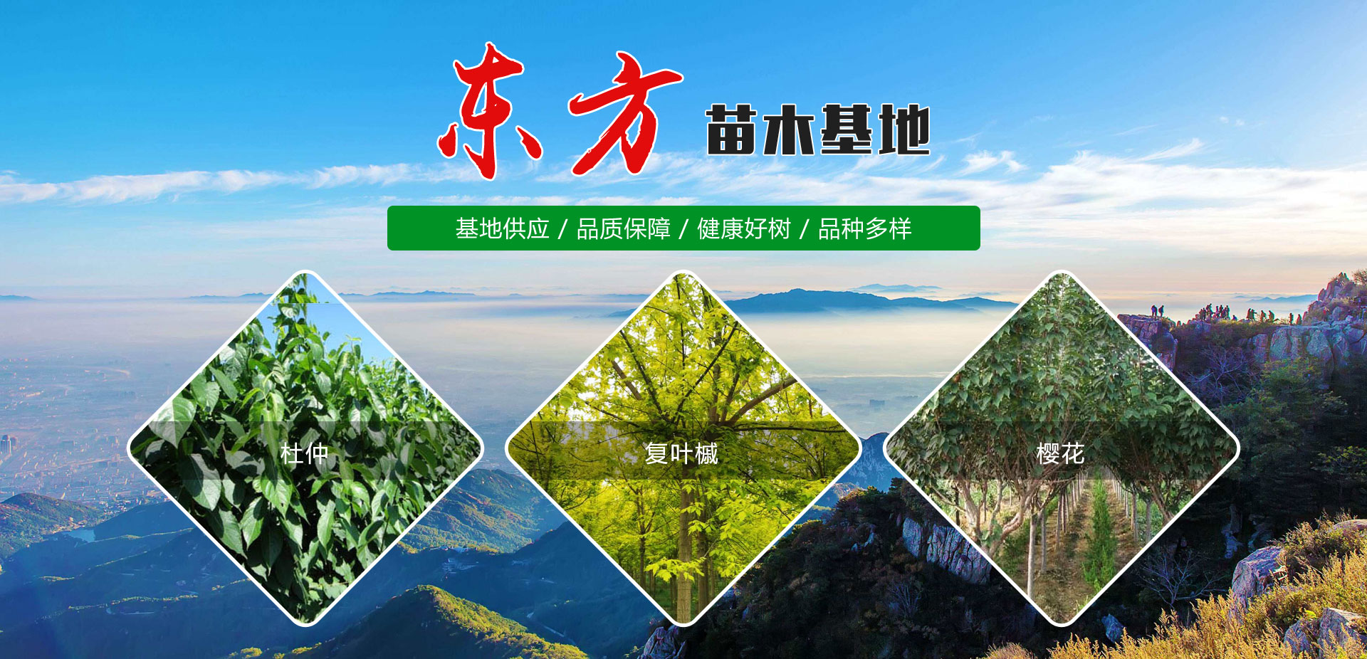 山東泰安億美達(dá)能源科技有限公司